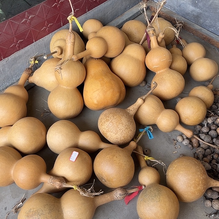 乳胶想法很好金金金金