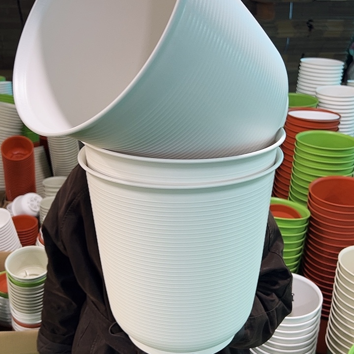 正品高陶口30高31白色无托3只