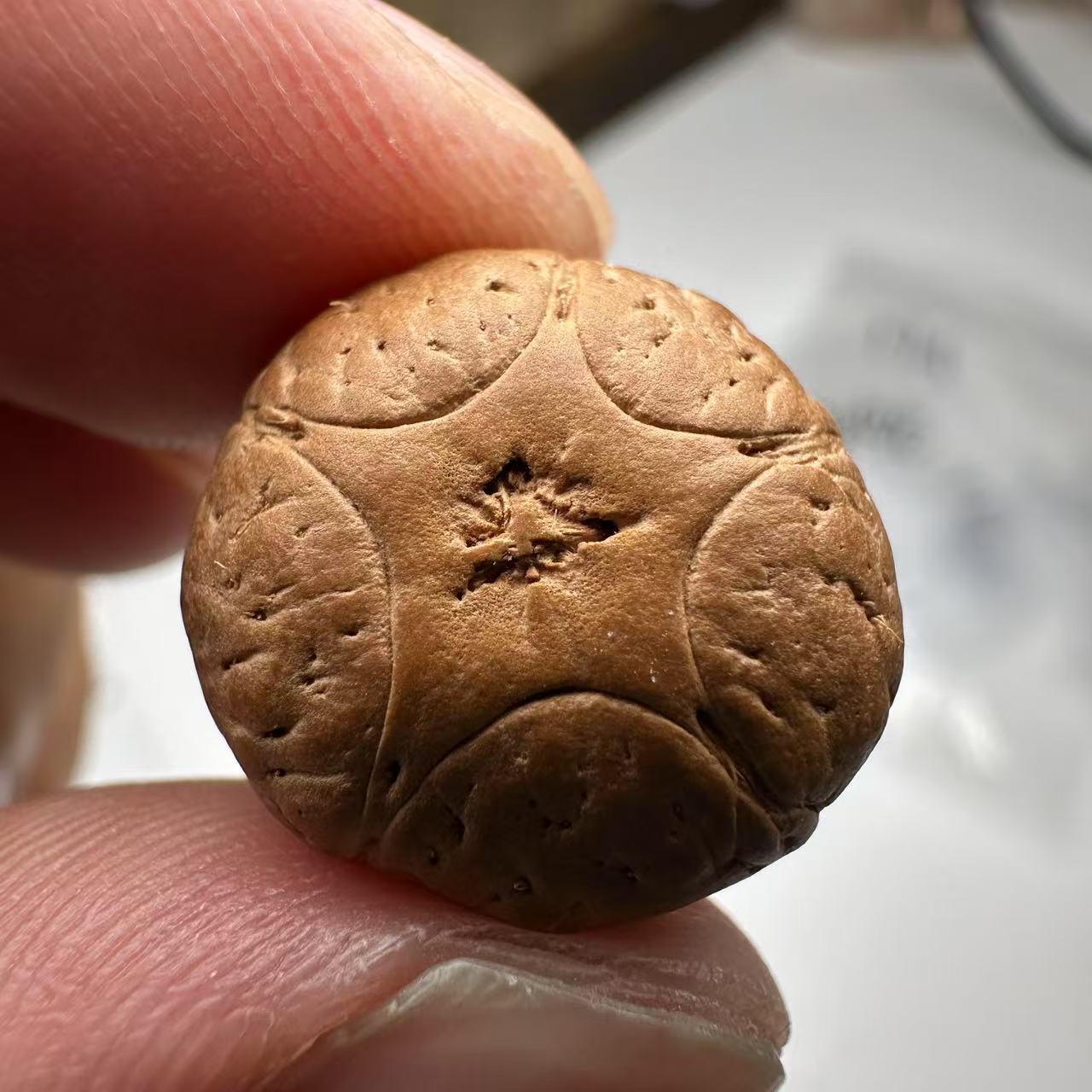 尼泊尔五星菩提，尺寸17，sss系列，货号153