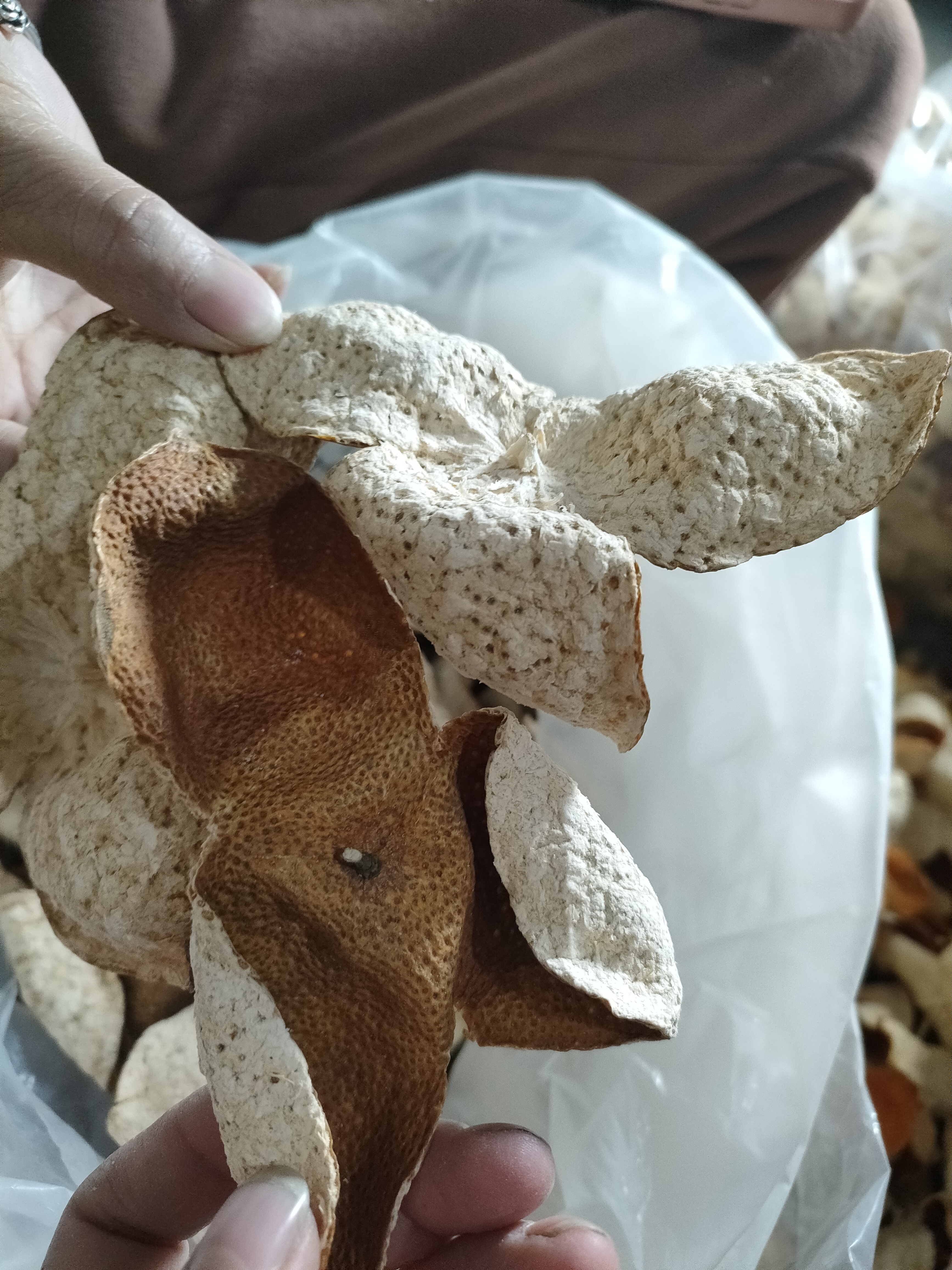 广西浦北良村老树 2022年陈皮（表嫂）