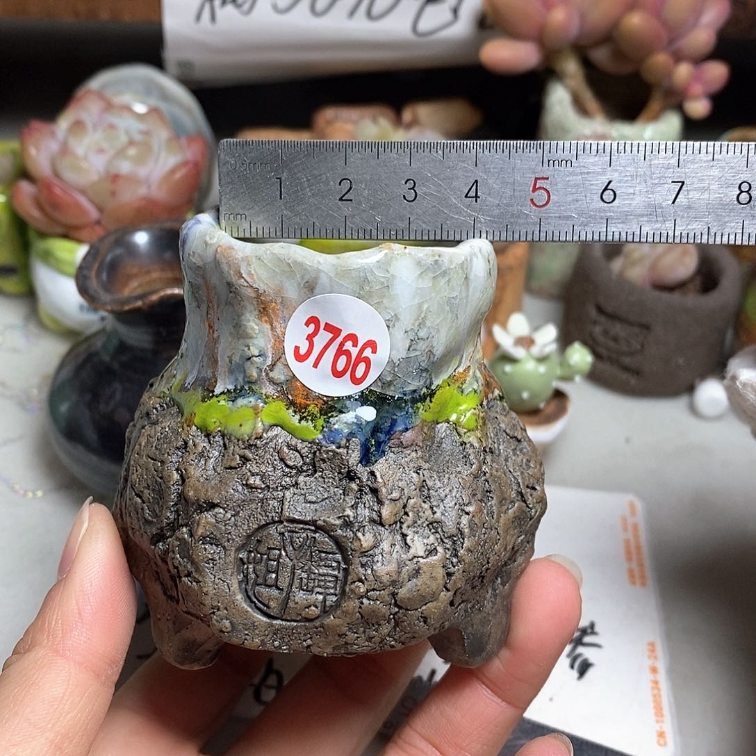 红陶拍5送一个小