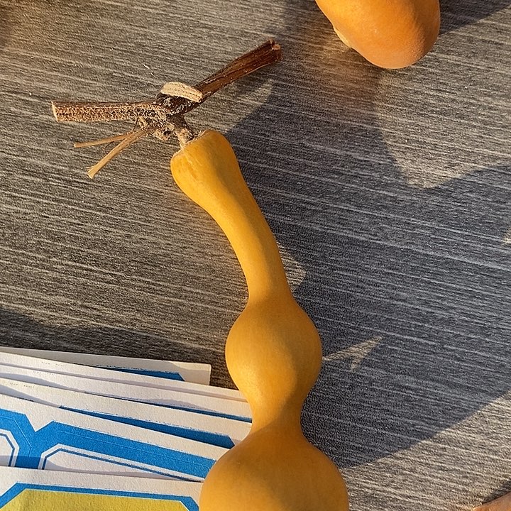 星***星80葫芦11111111111111