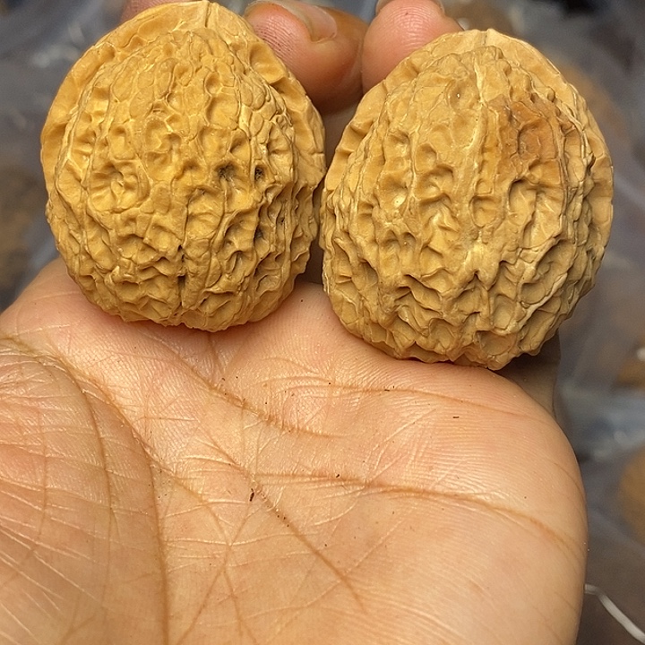 文玩核桃把件云南铁核桃80