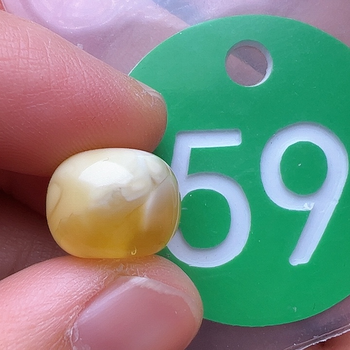 蜜蜡裸石未镶嵌金沙12.5m m