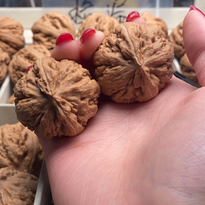 杰***克霸王龙全品无修一刀没动