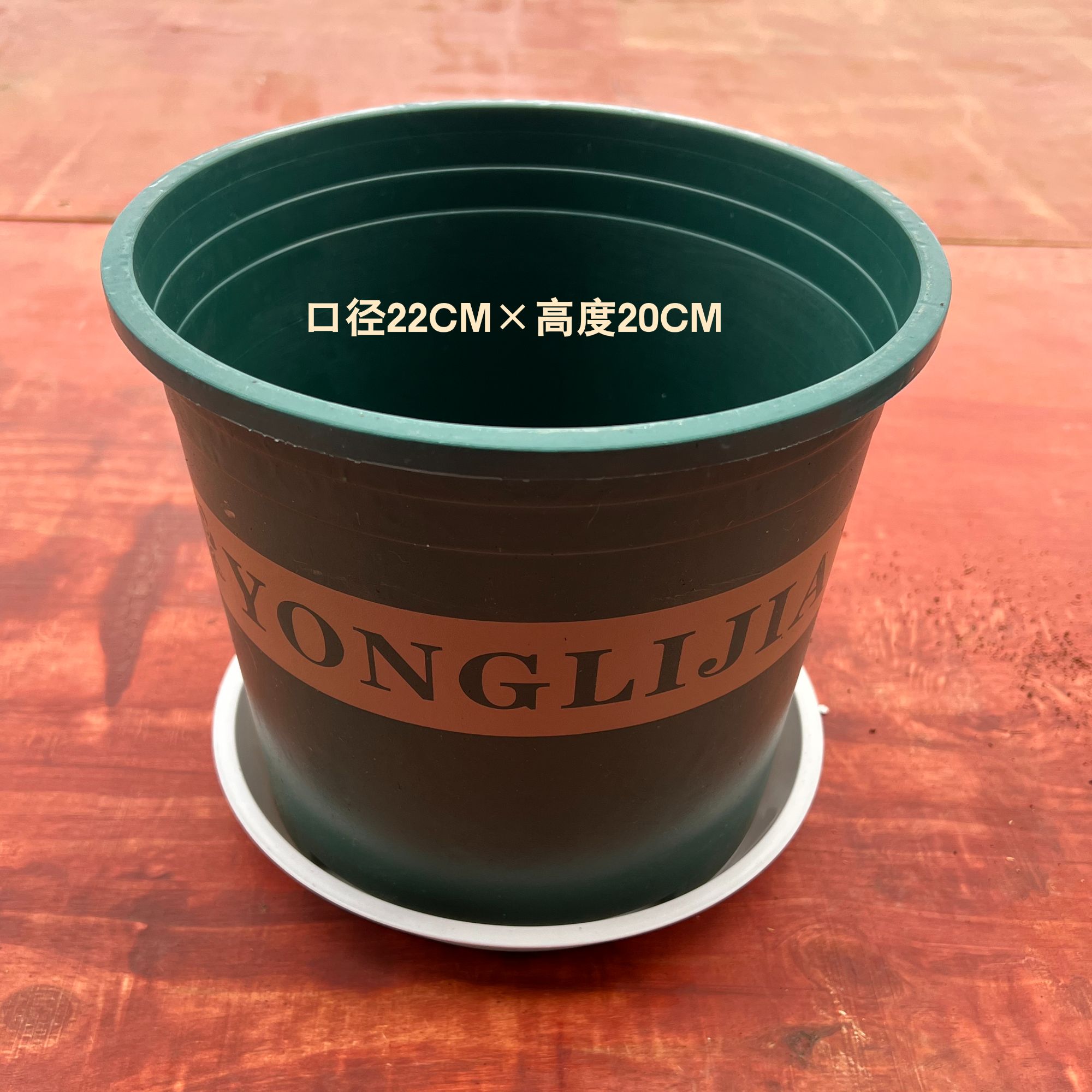 【花盆带土带肥1盆】需种好请备注-混种不售后-不参与其它满赠活动