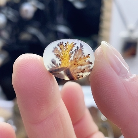 玛瑙/玉髓珠宝奇石未镶嵌