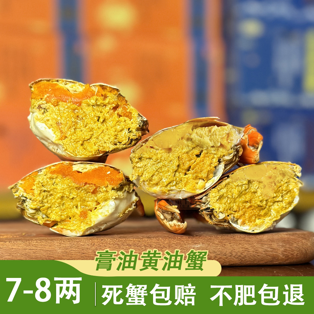 【膏油黄油蟹7-8两/只】江记鲜生黄油蟹养殖场直销鲜活配送佳记送礼