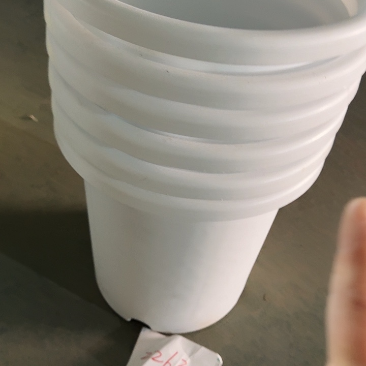 编号2263口径33无托6个