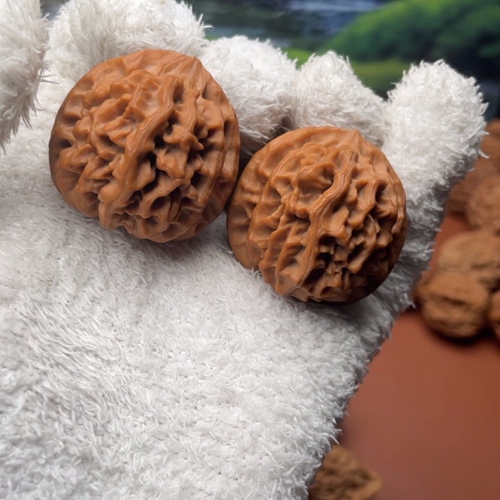 R***叔大叶紫檀（黑酸枝木类）秦核等人的故事也在这里展开