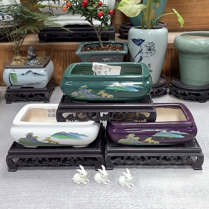 陶瓷花盆抢购福利