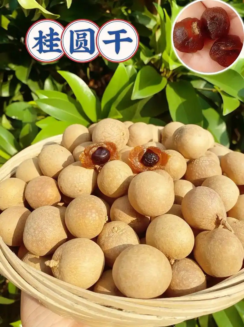 福建特产桂圆干肉厚核小带壳新货可泡水即食休闲零食