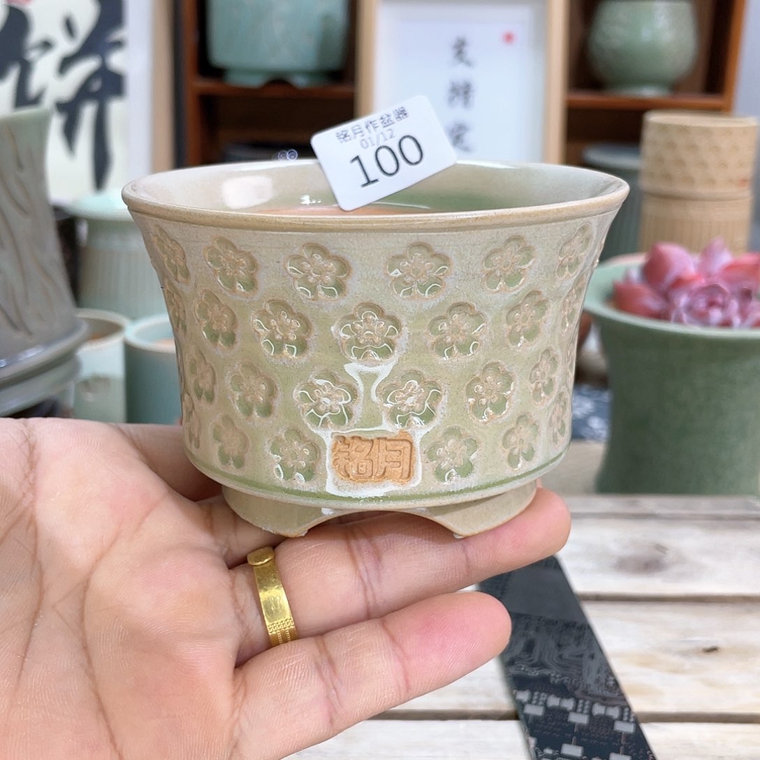 多肉陶瓷 100 内口8 cm