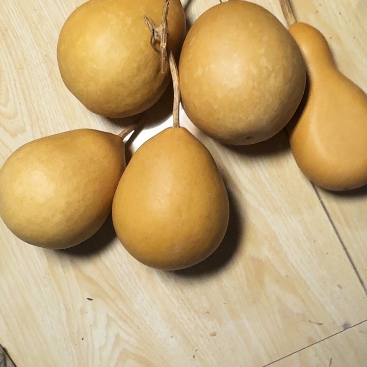 葫芦葫芦专属链接