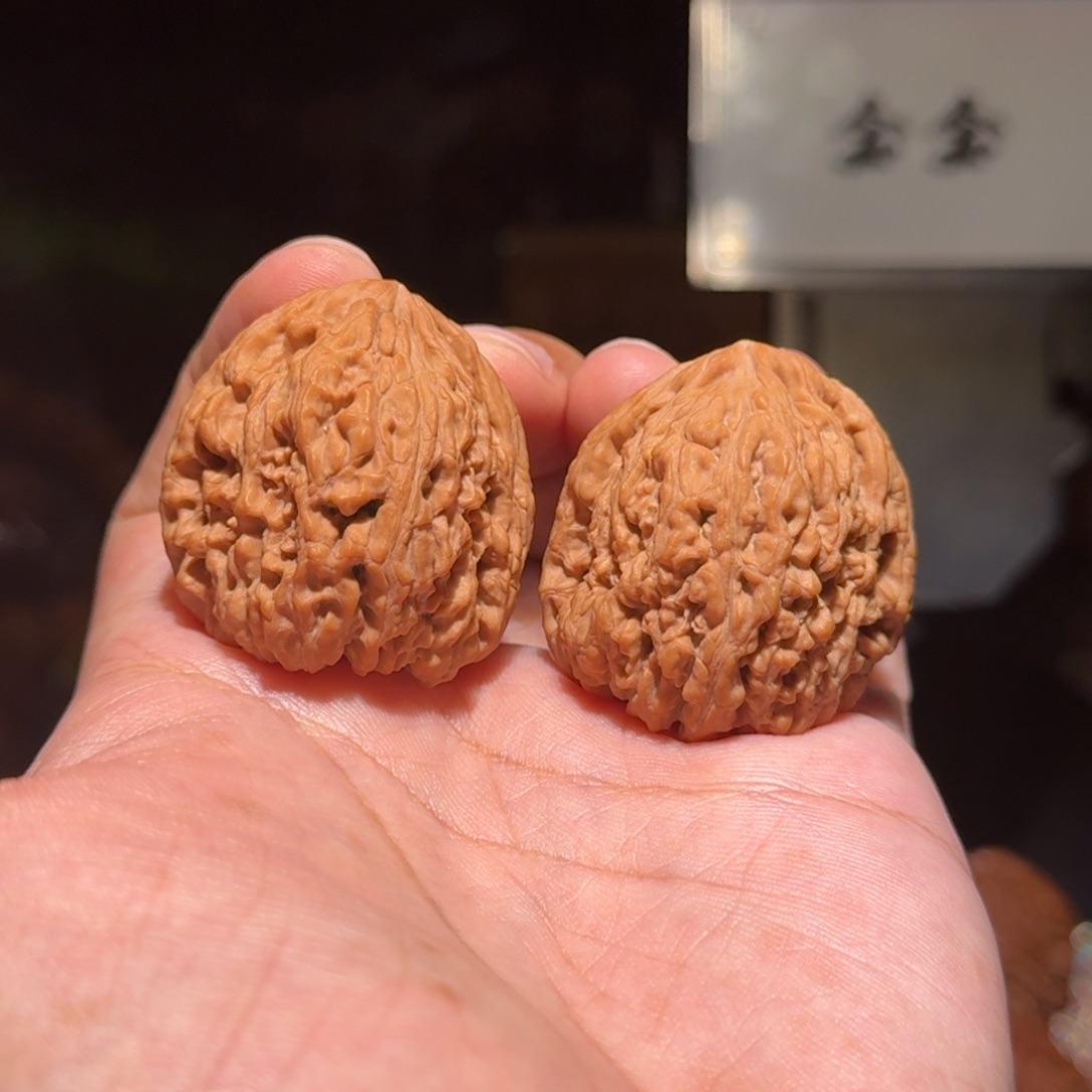 把件核桃1370逐鹿南疆，尺寸36