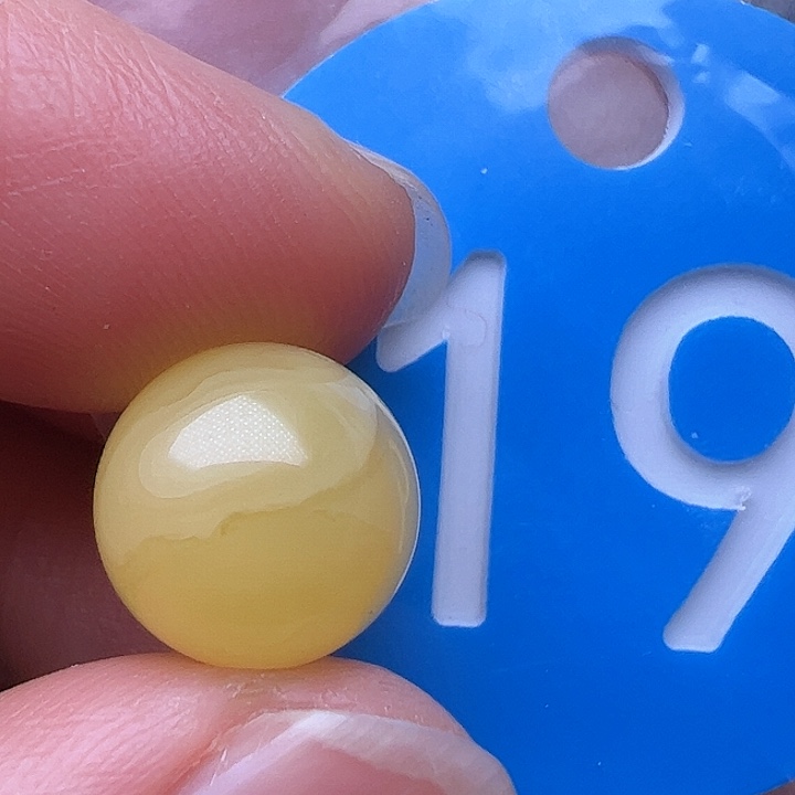 蜜蜡裸石未镶嵌11m m