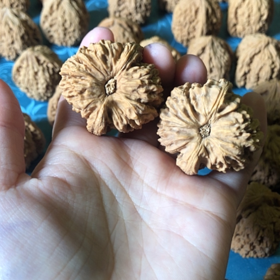 【闪购商品】文玩核桃把件老****馆一大将