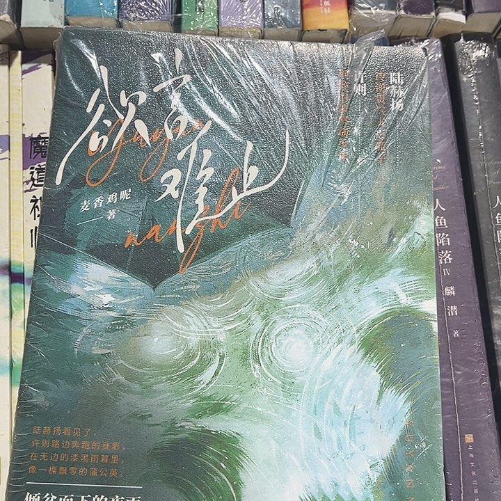 欲言难止全新全套两本带周边