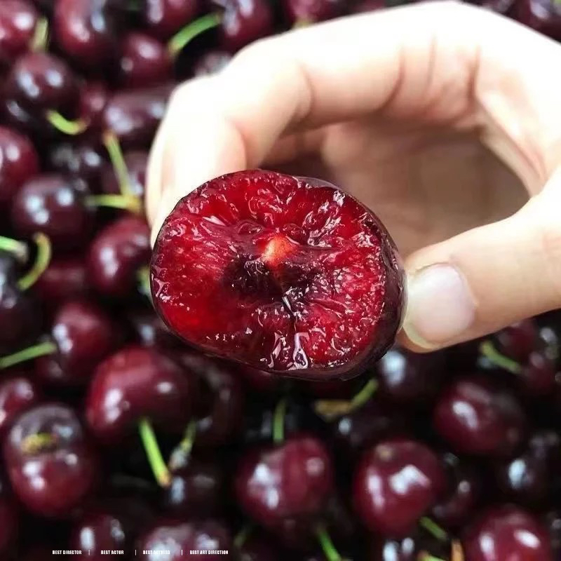 3JD车厘子 5斤装  都乐分装货  冰熊包装