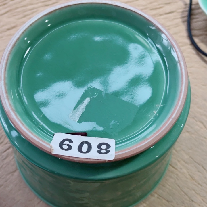 青瓷哈哈哈哈哈哈哈哈