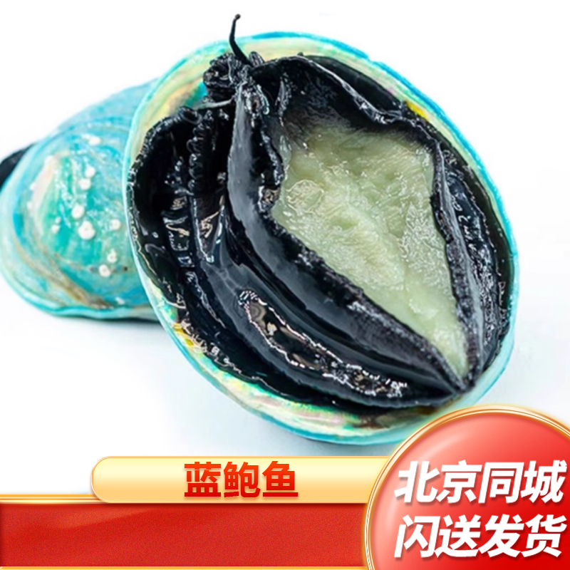 蓝色鲍鱼6头单只北京闪送