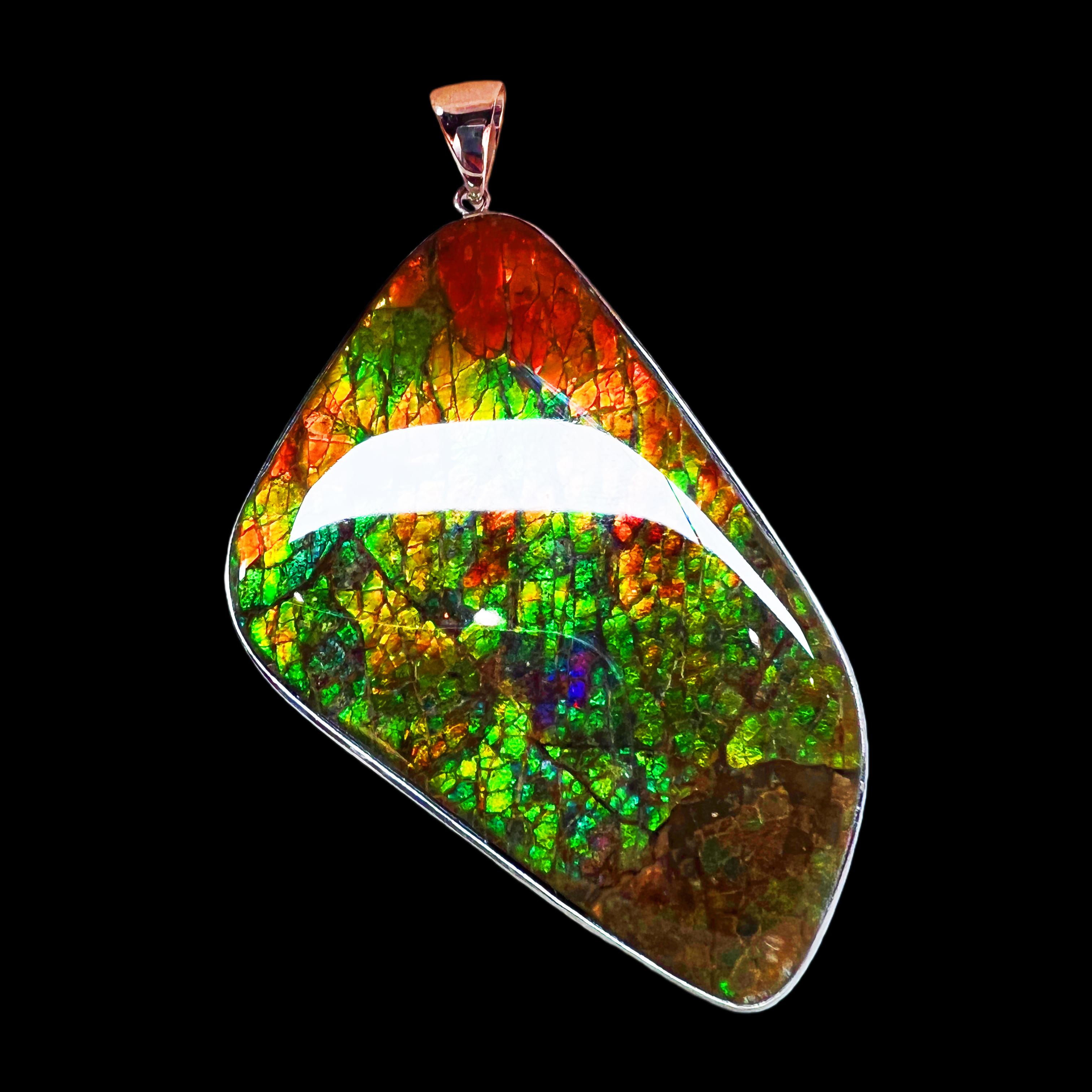 【斑彩】67.2mm 加拿大 N-29  DZ-H  贝壳创意饰品 H10