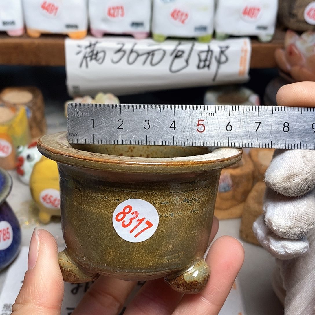 红陶拍5送一个小