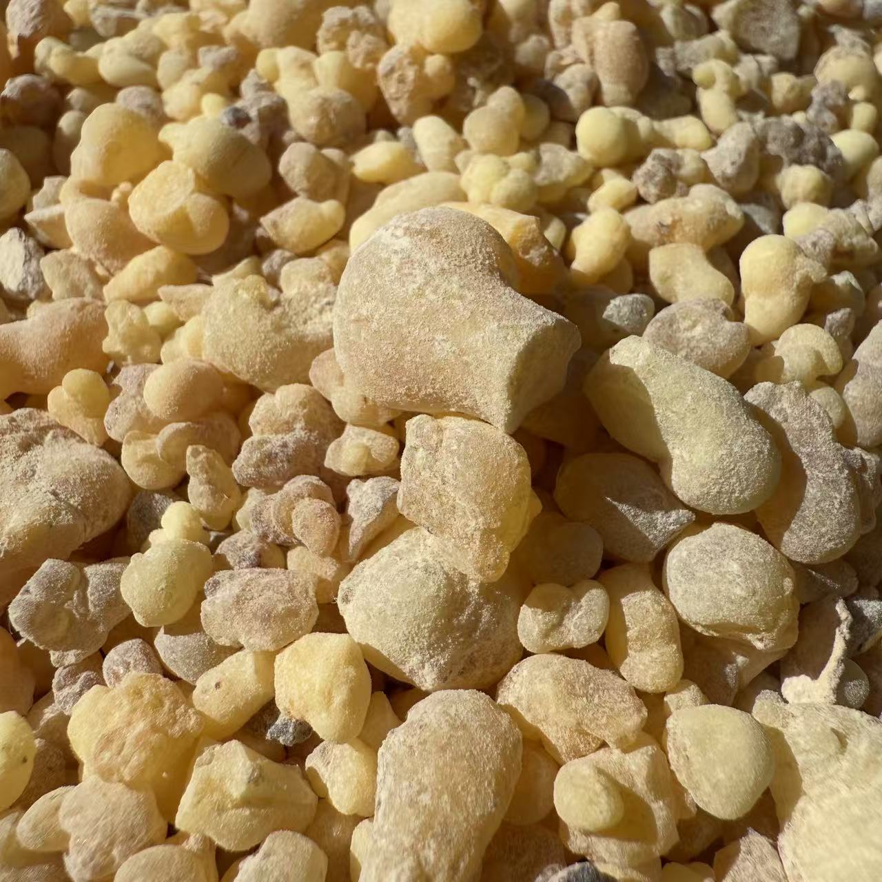 1【R-X】净含量枸250g-500g【丹丹现收】枸