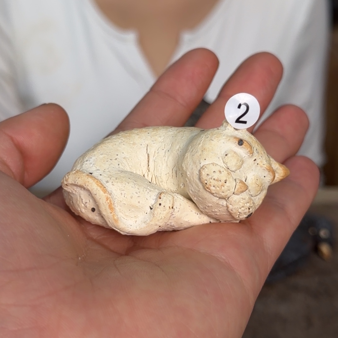 壶壶杯一一一一一一一一2