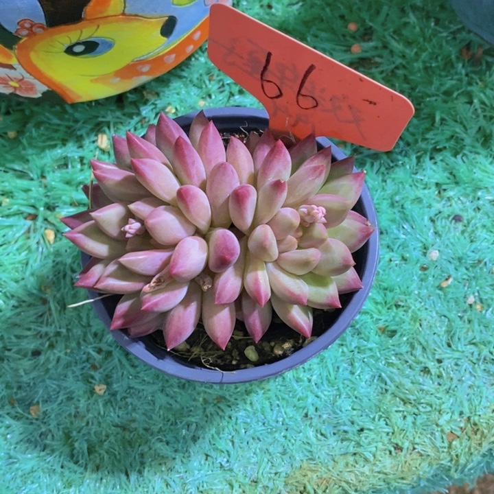 你们还会记得那个年代