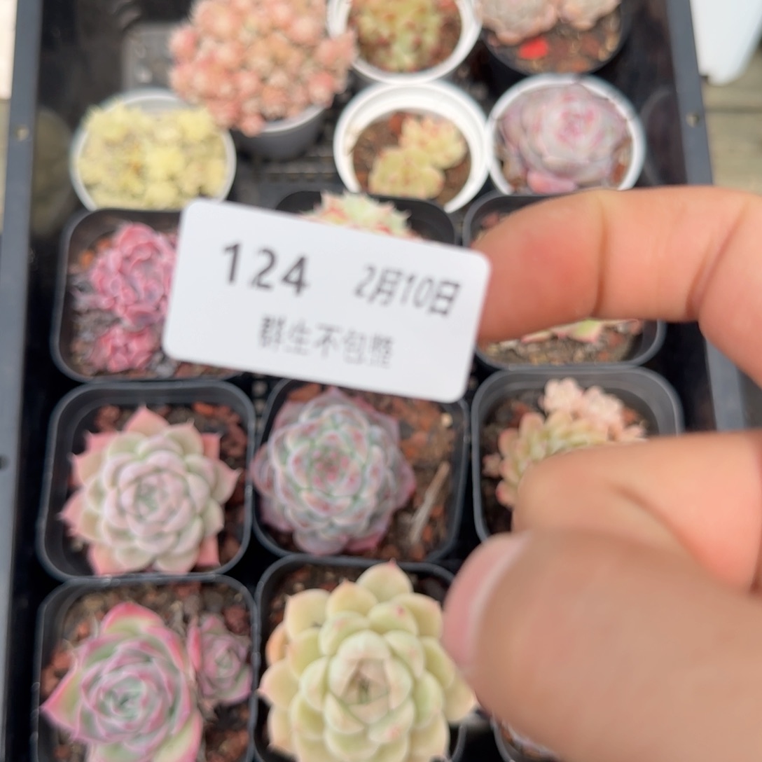 框拍框拍0210-124