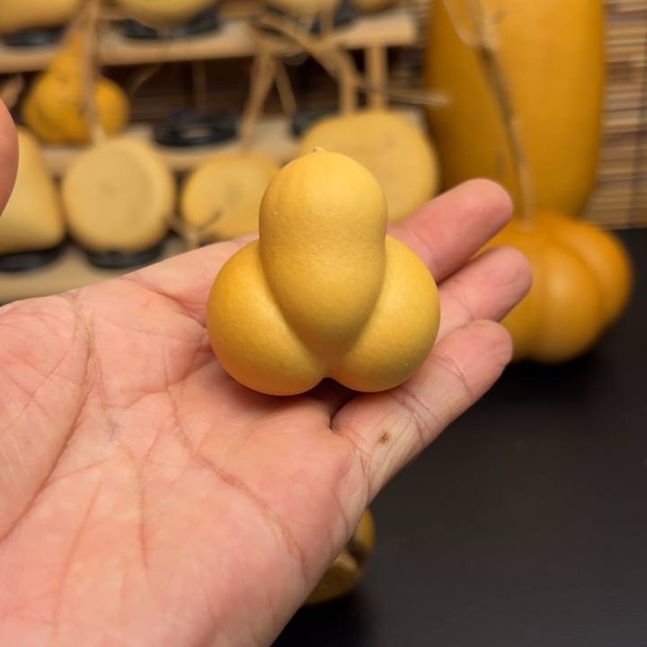 邂*逅558888888636966999