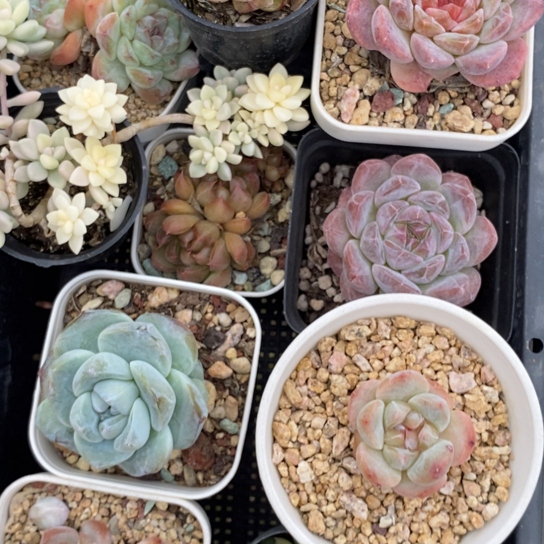 开播特价框福利框哈哈哈