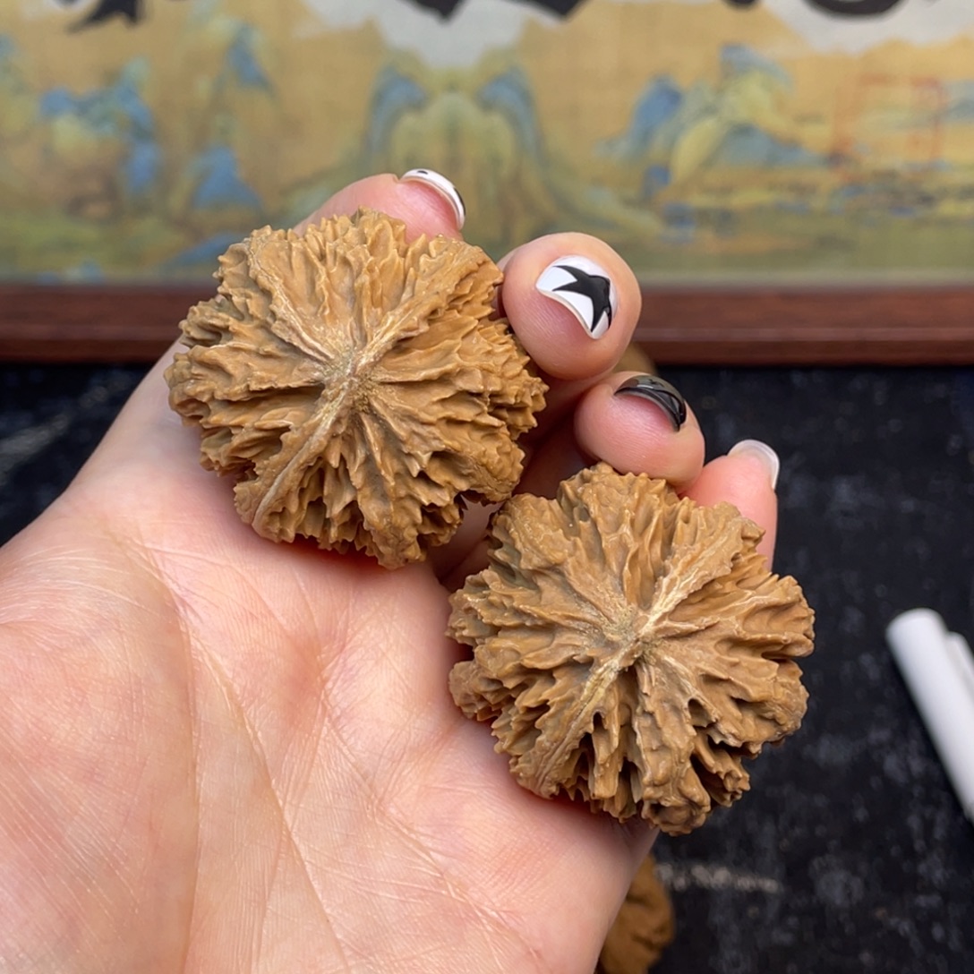 文玩核桃把件5555