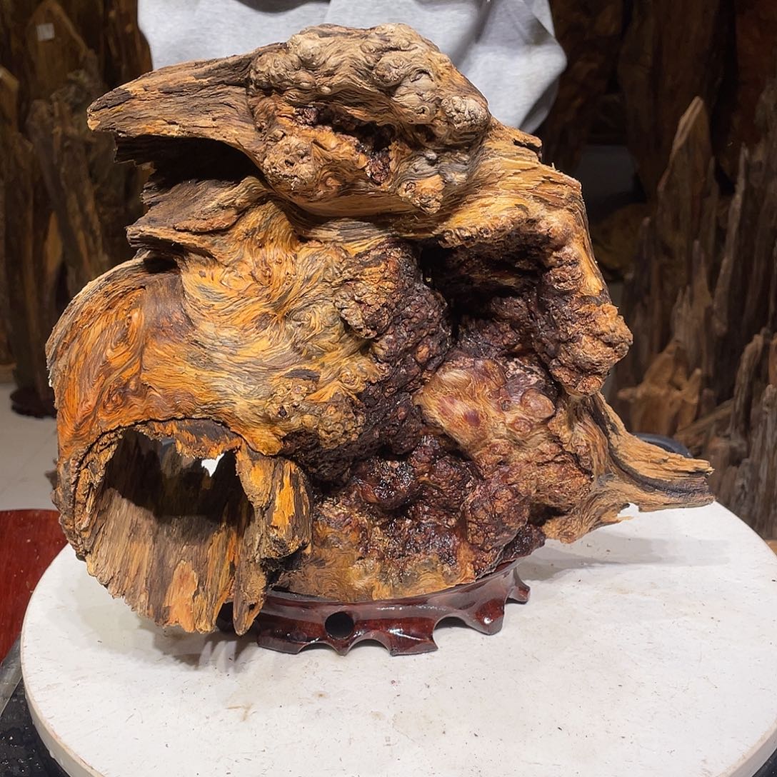 丽****松木（琥珀木）北沉香