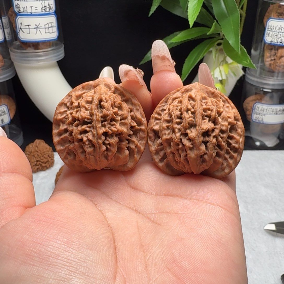 道***心把件文玩核桃全品盘龙纹40