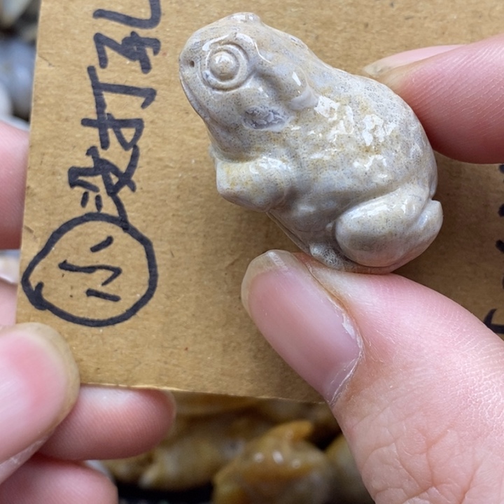 硅化珊瑚（珊瑚玉）未镶嵌颈饰