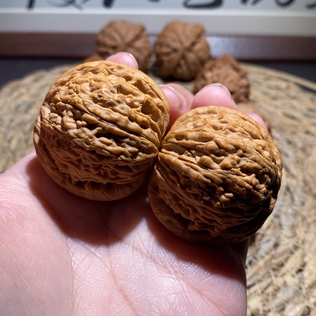 虫***二吊坠桃核40蛟龙点修