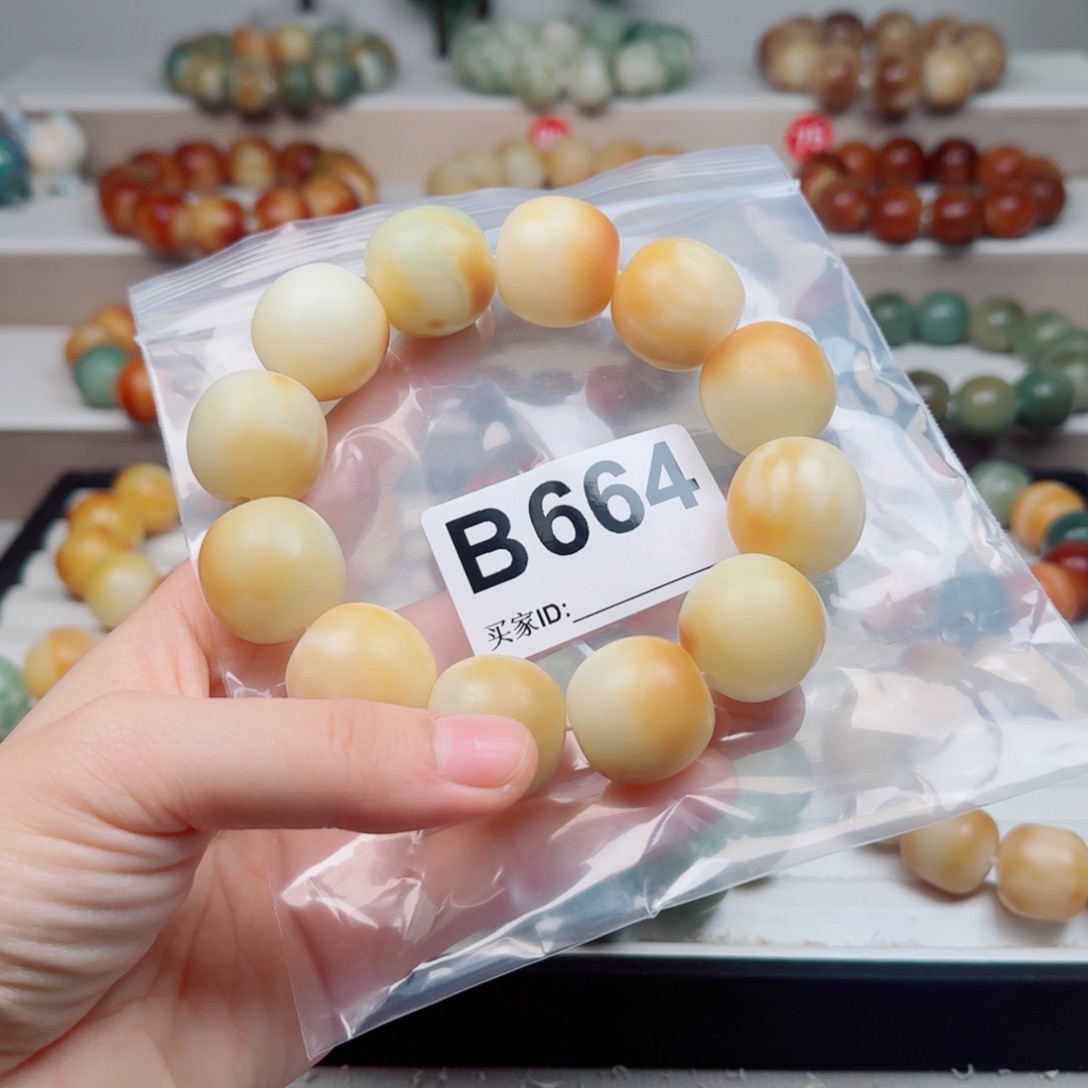 吊坠菩提根/象牙果菩提2.27中大瑕不退不换