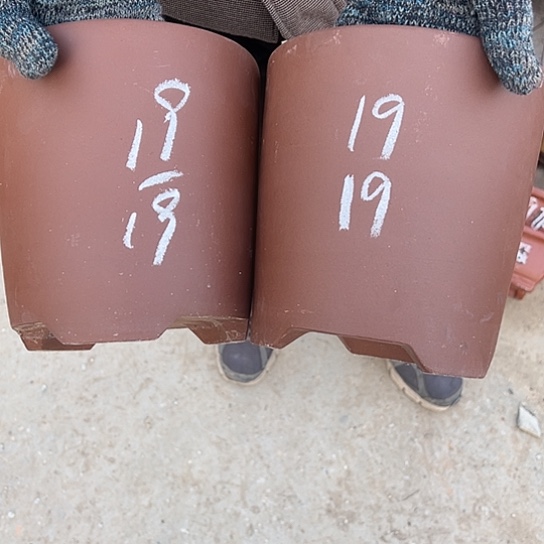 紫砂工艺厂……紫砂工艺厂……