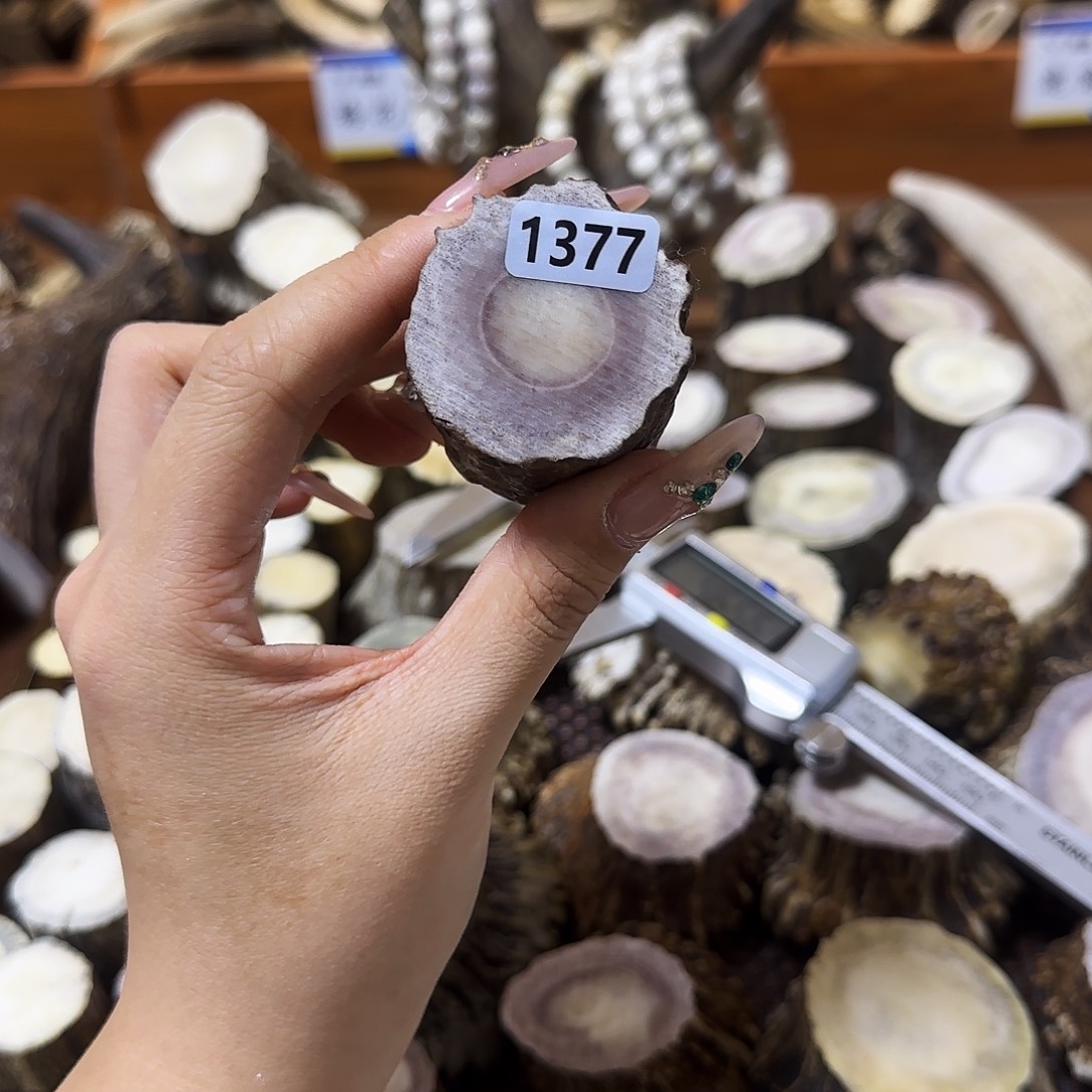 手串/手链鹿骨1377根段