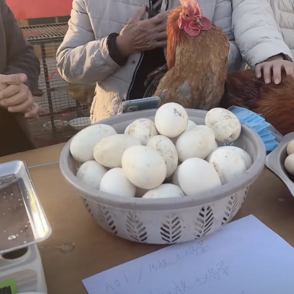 【淑山助农】农户自养土鹅蛋