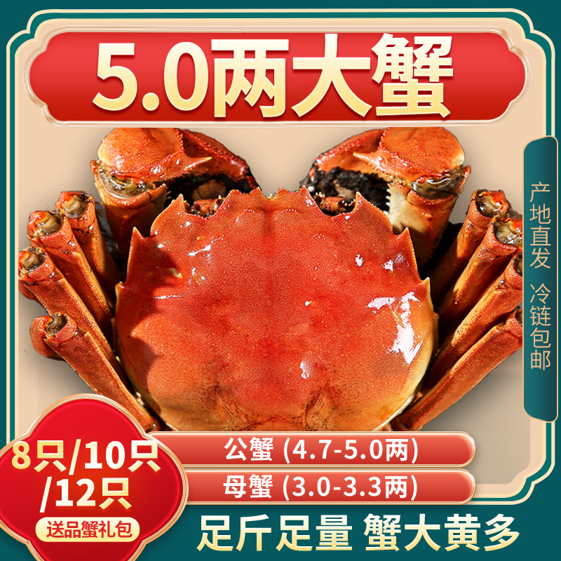 【活蟹】煌鲜尚品大闸蟹公4.7-5.0两母3.0-3.3两8/10/12只鲜活礼盒