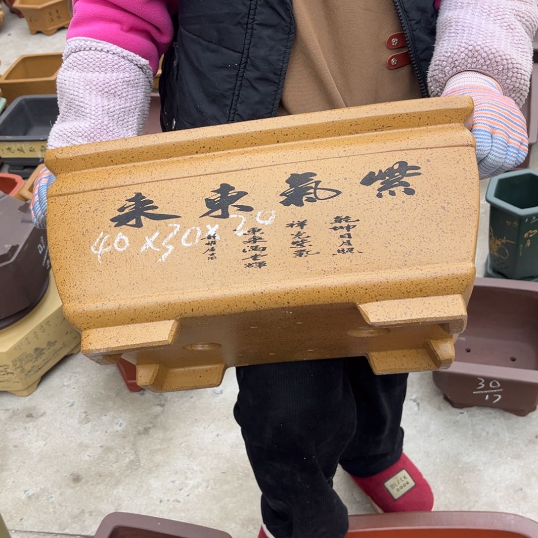 紫砂花盆盆景艺术