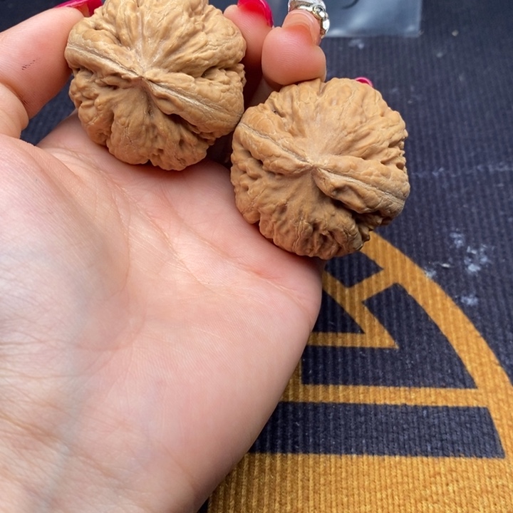 北***机把件文玩核桃霸王龙