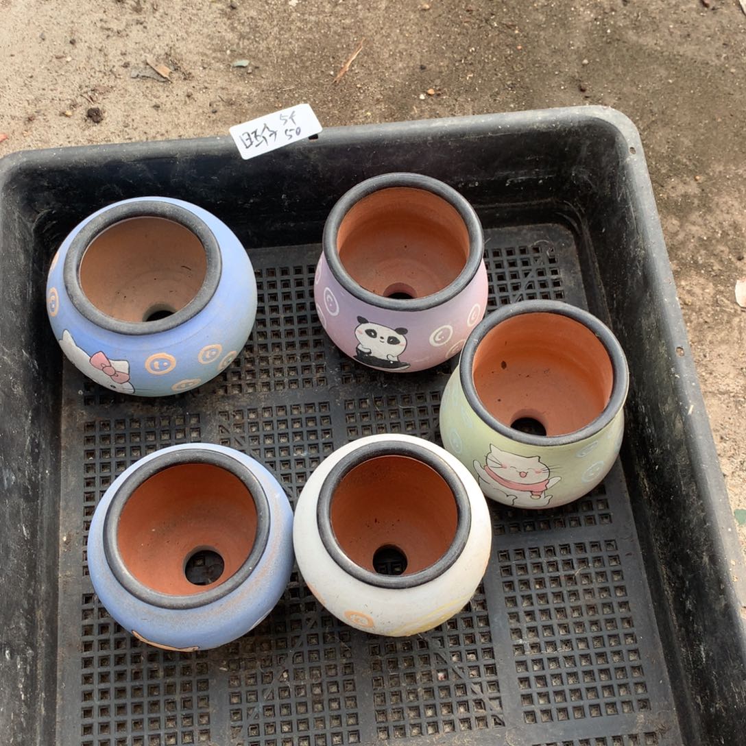 旺仔5个手绘50元啦啦啦