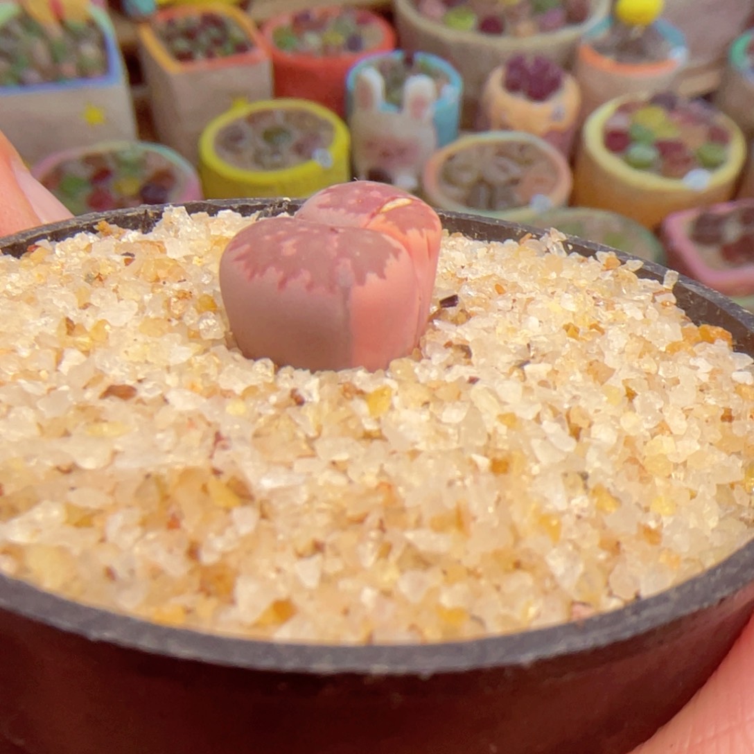 223。8888888888888888