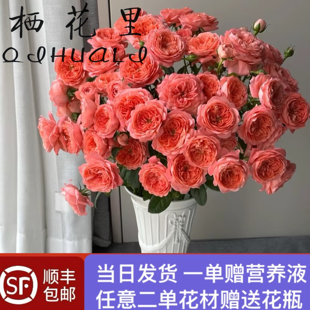 当日发货10支杏色果汁多头玫瑰云南基地顺丰包邮次日达送花上门