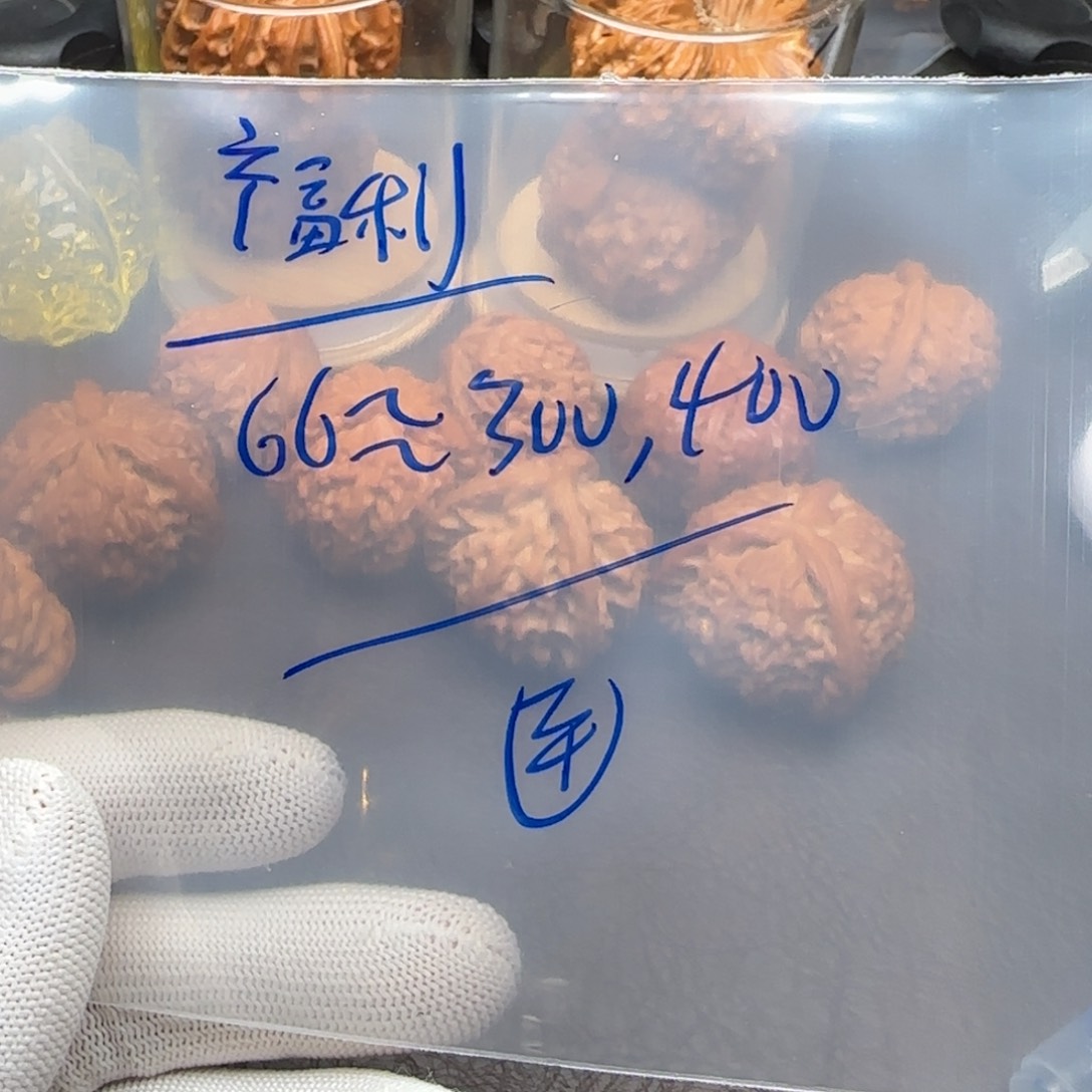 核桃等经济作物的种植