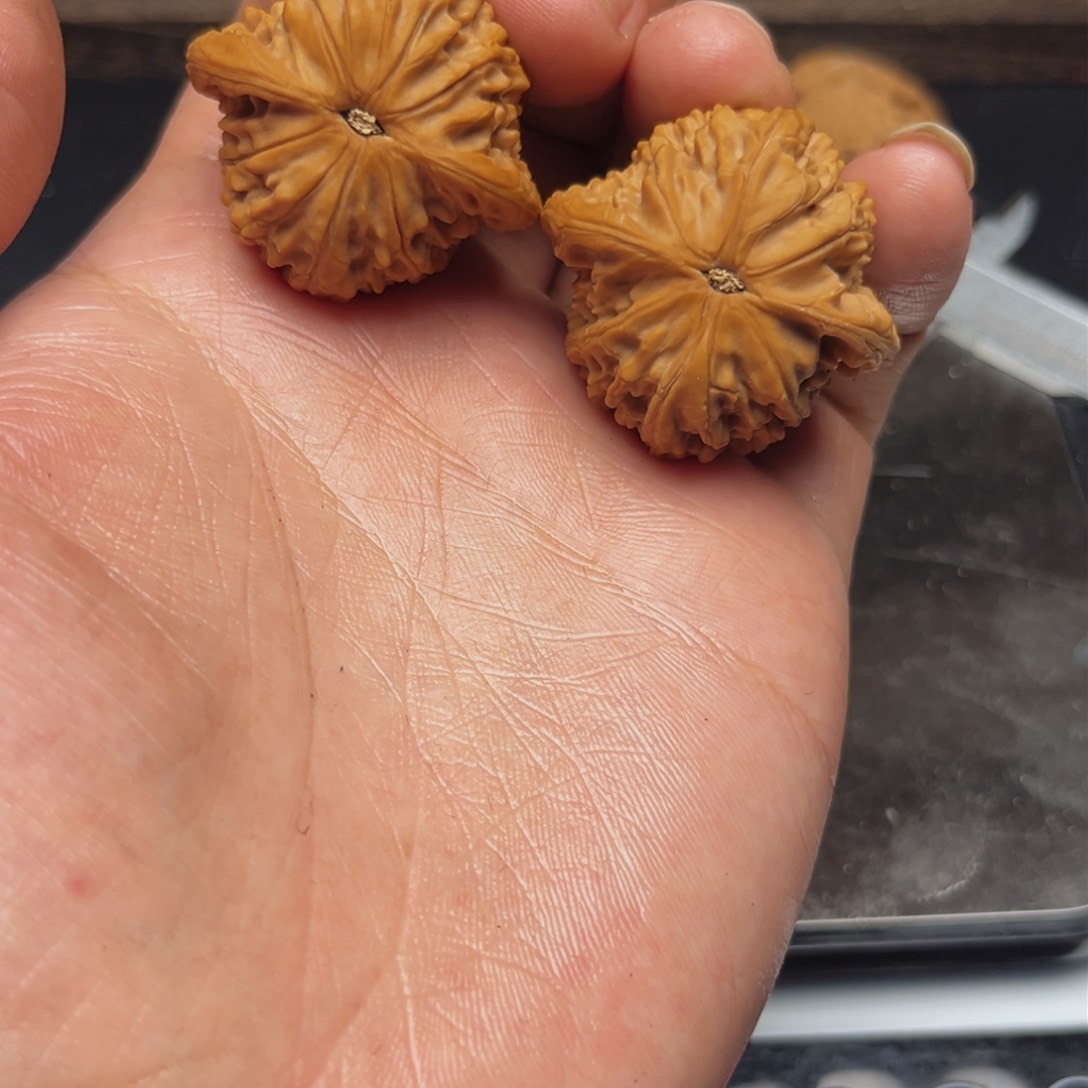 文玩核桃吊坠依*35山地磨